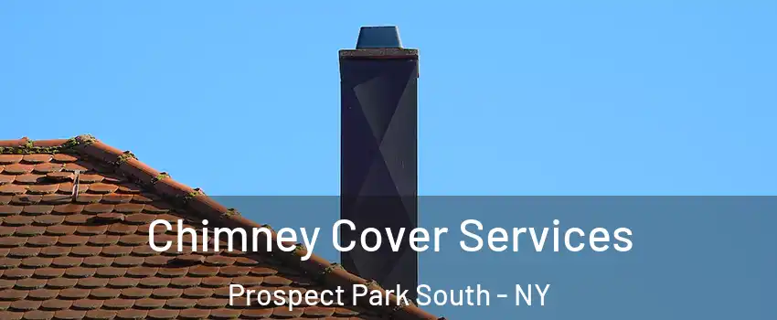 Chimney Cover Services Prospect Park South - NY