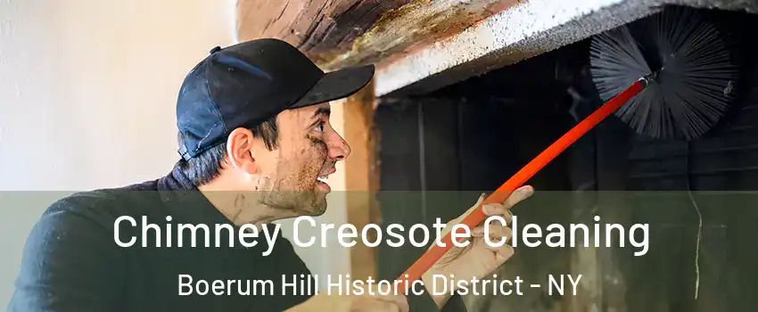 Chimney Creosote Cleaning Boerum Hill Historic District - NY