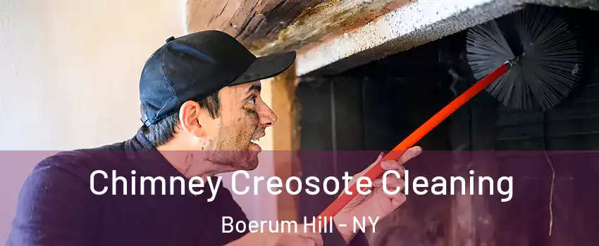 Chimney Creosote Cleaning Boerum Hill - NY