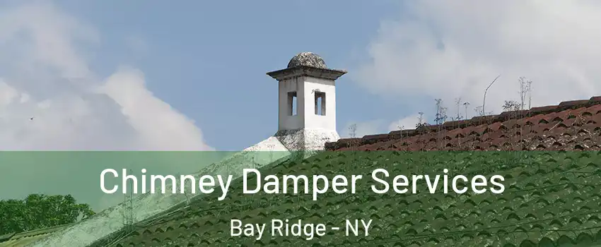 Chimney Damper Services Bay Ridge - NY