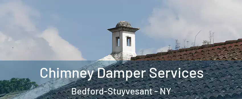 Chimney Damper Services Bedford-Stuyvesant - NY