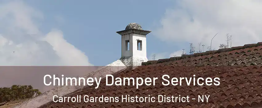 Chimney Damper Services Carroll Gardens Historic District - NY