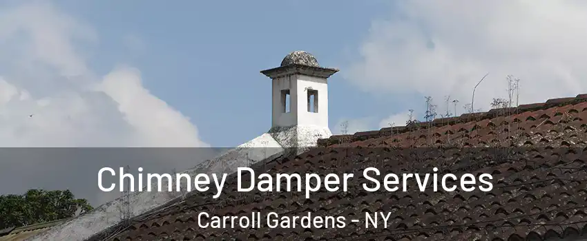 Chimney Damper Services Carroll Gardens - NY