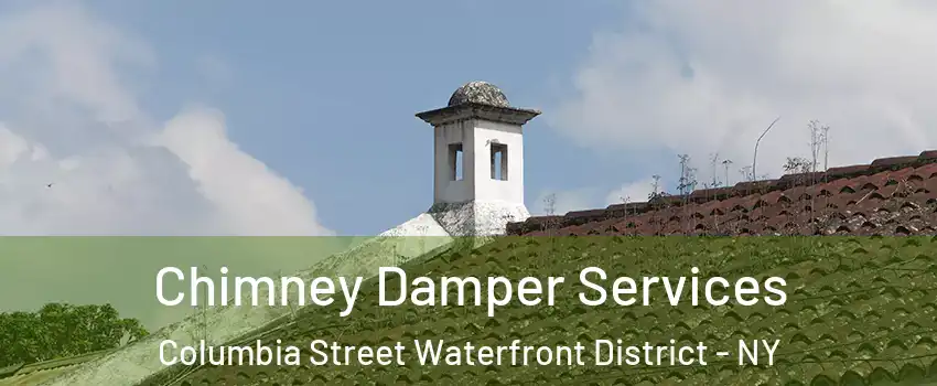 Chimney Damper Services Columbia Street Waterfront District - NY