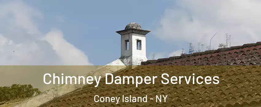 Chimney Damper Services Coney Island - NY