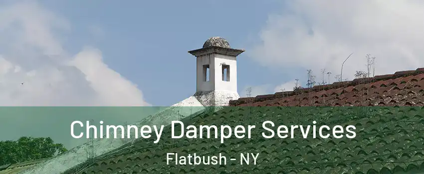 Chimney Damper Services Flatbush - NY