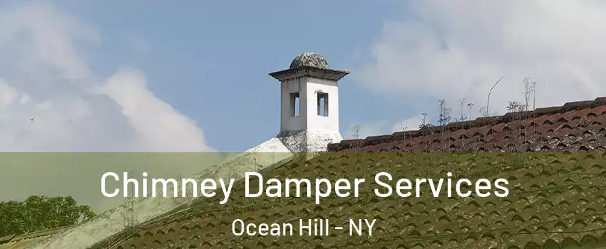 Chimney Damper Services Ocean Hill - NY