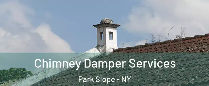 Chimney Damper Services Park Slope - NY