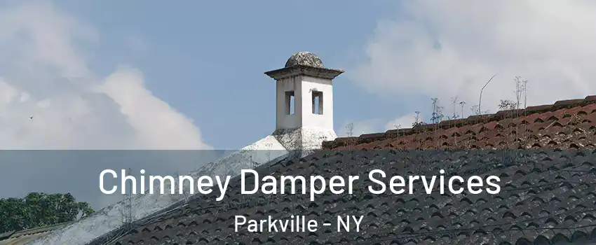 Chimney Damper Services Parkville - NY