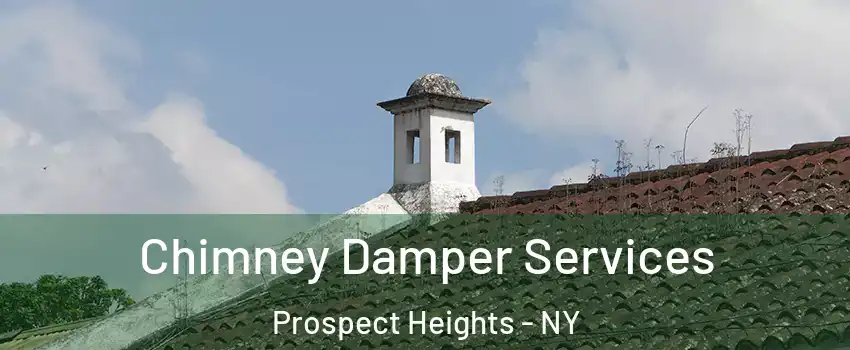 Chimney Damper Services Prospect Heights - NY