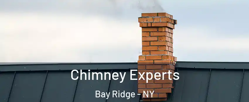 Chimney Experts Bay Ridge - NY