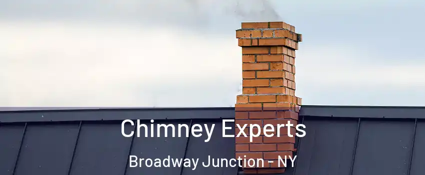 Chimney Experts Broadway Junction - NY