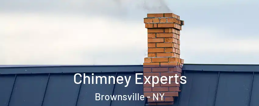 Chimney Experts Brownsville - NY