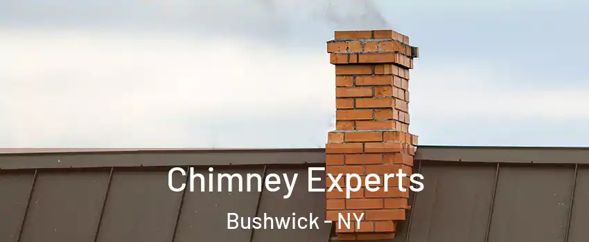 Chimney Experts Bushwick - NY