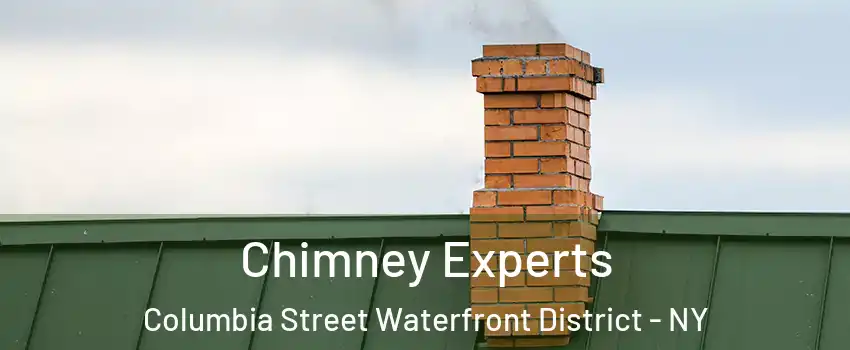 Chimney Experts Columbia Street Waterfront District - NY