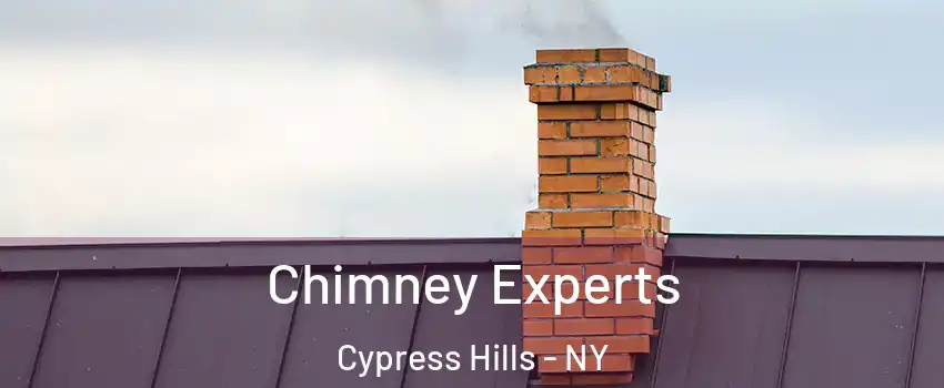 Chimney Experts Cypress Hills - NY