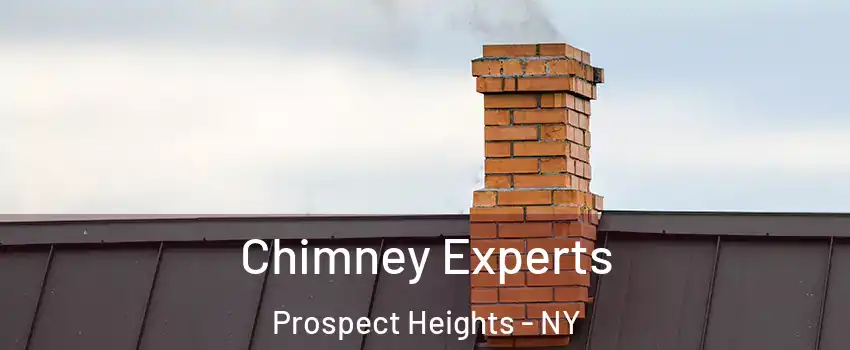 Chimney Experts Prospect Heights - NY