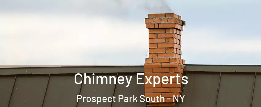 Chimney Experts Prospect Park South - NY