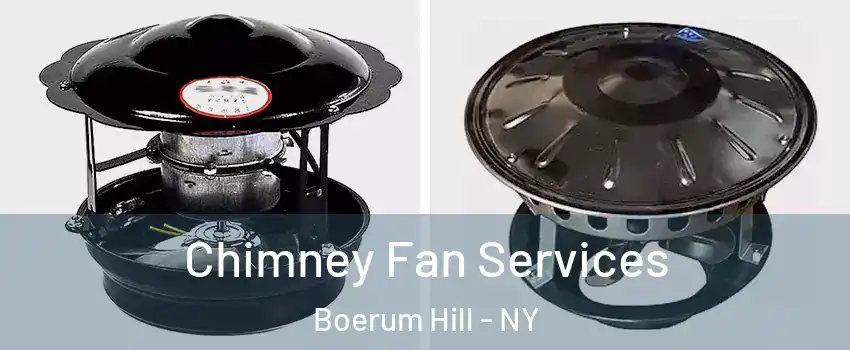 Chimney Fan Services Boerum Hill - NY