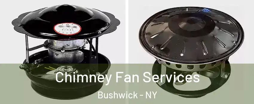 Chimney Fan Services Bushwick - NY