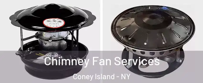 Chimney Fan Services Coney Island - NY