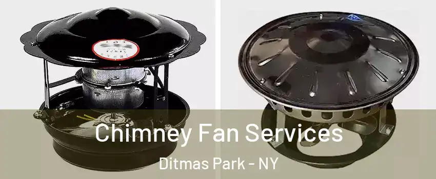 Chimney Fan Services Ditmas Park - NY