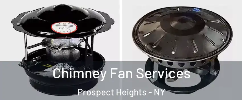 Chimney Fan Services Prospect Heights - NY