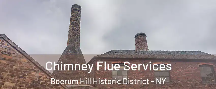 Chimney Flue Services Boerum Hill Historic District - NY