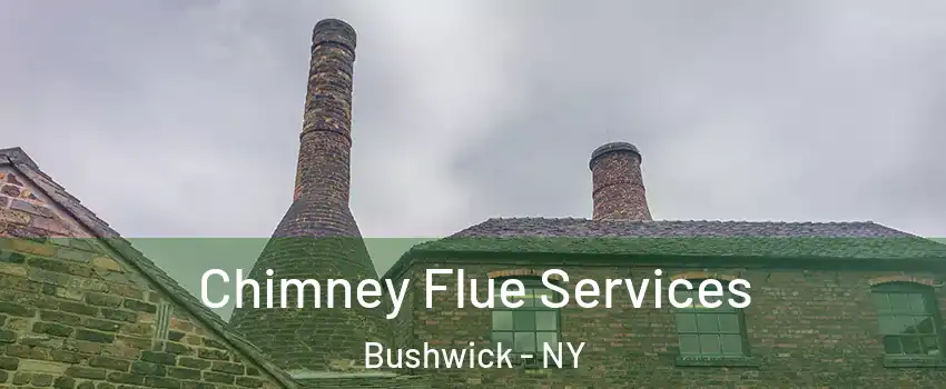 Chimney Flue Services Bushwick - NY