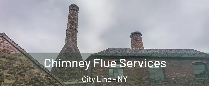 Chimney Flue Services City Line - NY