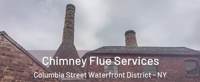 Chimney Flue Services Columbia Street Waterfront District - NY