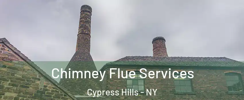 Chimney Flue Services Cypress Hills - NY