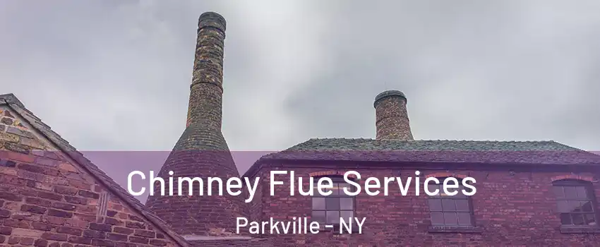 Chimney Flue Services Parkville - NY