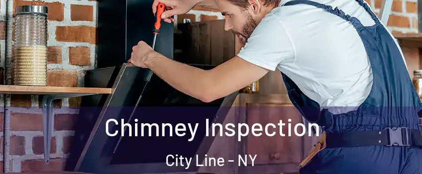 Chimney Inspection City Line - NY