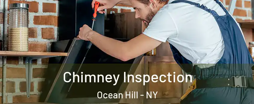 Chimney Inspection Ocean Hill - NY