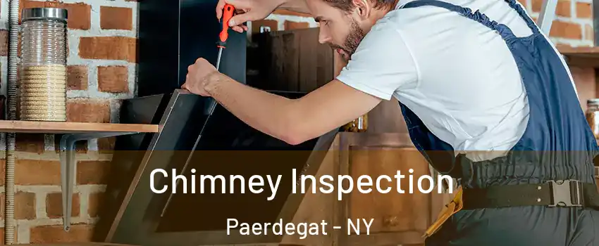 Chimney Inspection Paerdegat - NY