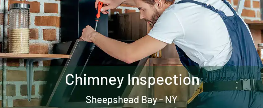 Chimney Inspection Sheepshead Bay - NY