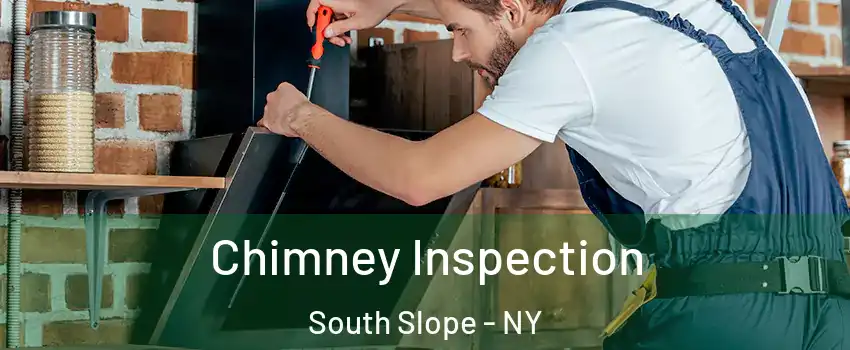 Chimney Inspection South Slope - NY