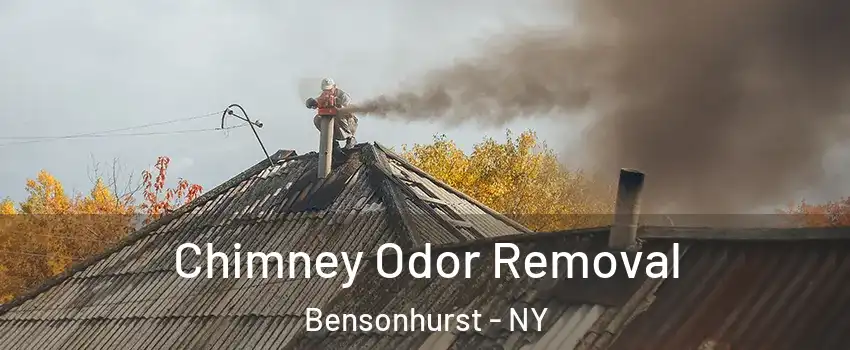 Chimney Odor Removal Bensonhurst - NY