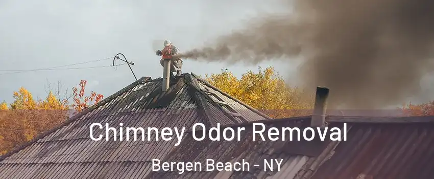 Chimney Odor Removal Bergen Beach - NY