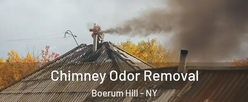 Chimney Odor Removal Boerum Hill - NY