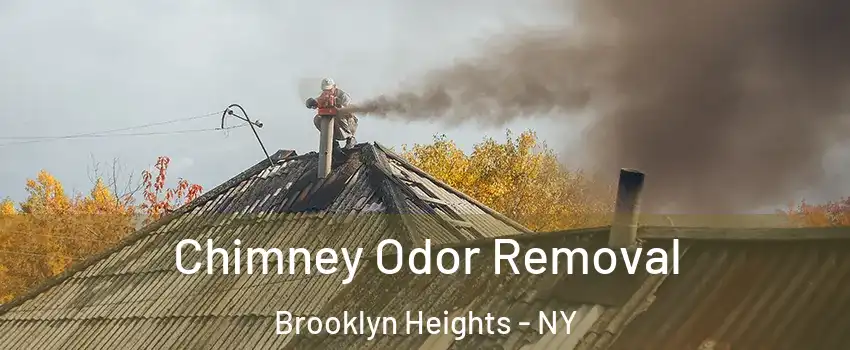 Chimney Odor Removal Brooklyn Heights - NY