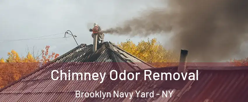 Chimney Odor Removal Brooklyn Navy Yard - NY