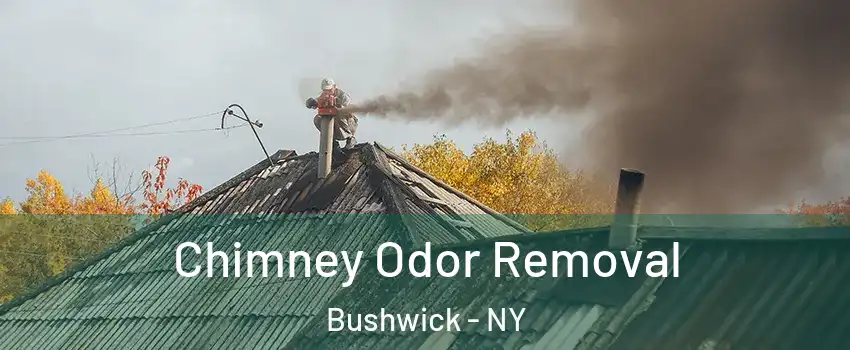 Chimney Odor Removal Bushwick - NY