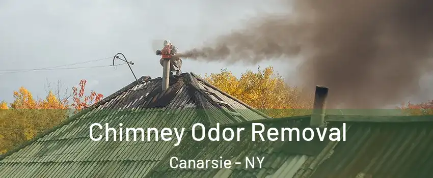 Chimney Odor Removal Canarsie - NY