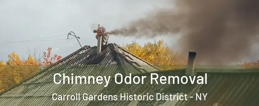 Chimney Odor Removal Carroll Gardens Historic District - NY