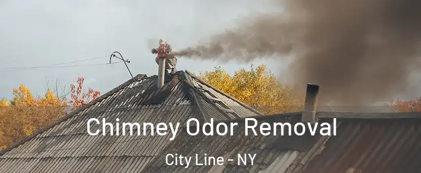 Chimney Odor Removal City Line - NY