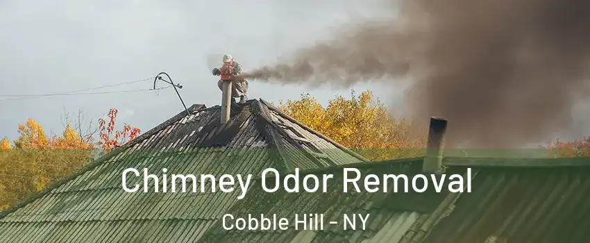 Chimney Odor Removal Cobble Hill - NY