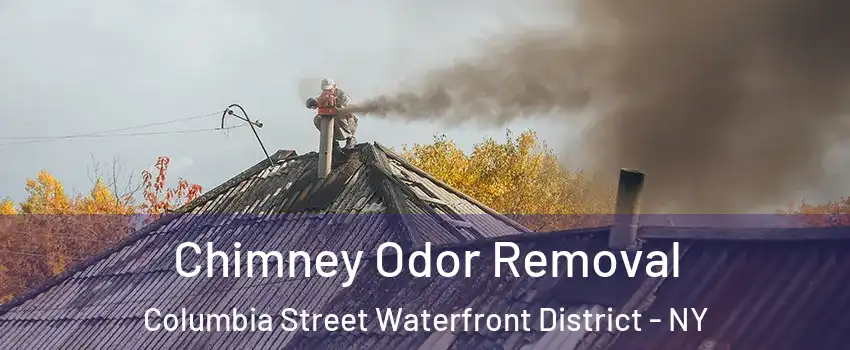 Chimney Odor Removal Columbia Street Waterfront District - NY