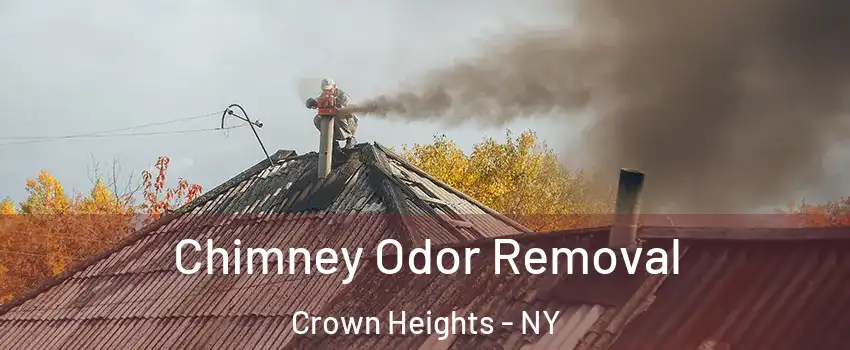 Chimney Odor Removal Crown Heights - NY